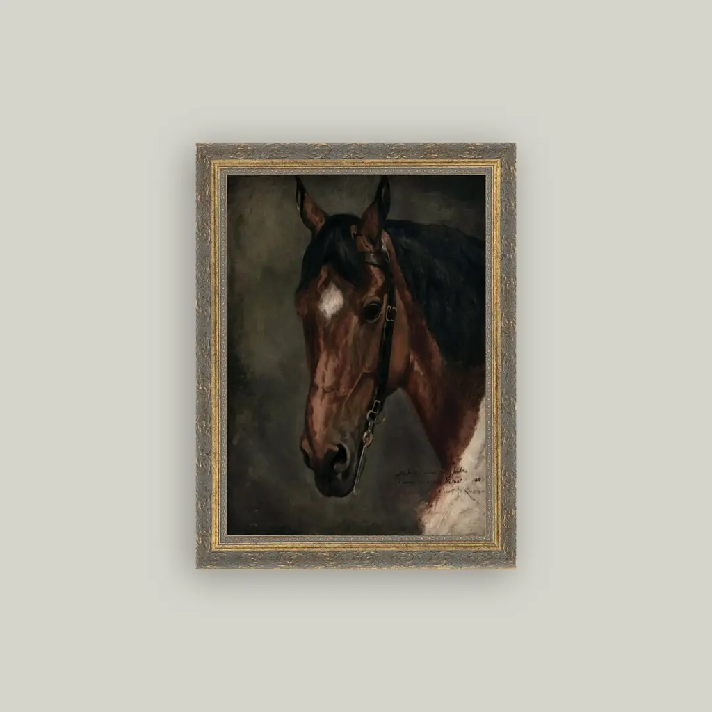 Horse Portrait