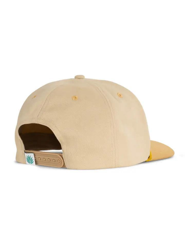 Triceratops Hat