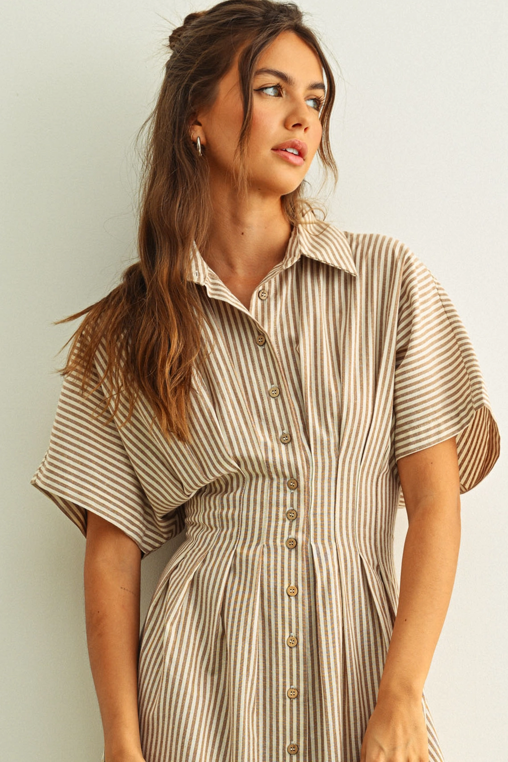 Striped Buttondown Shirt Dress - Brown Stripe