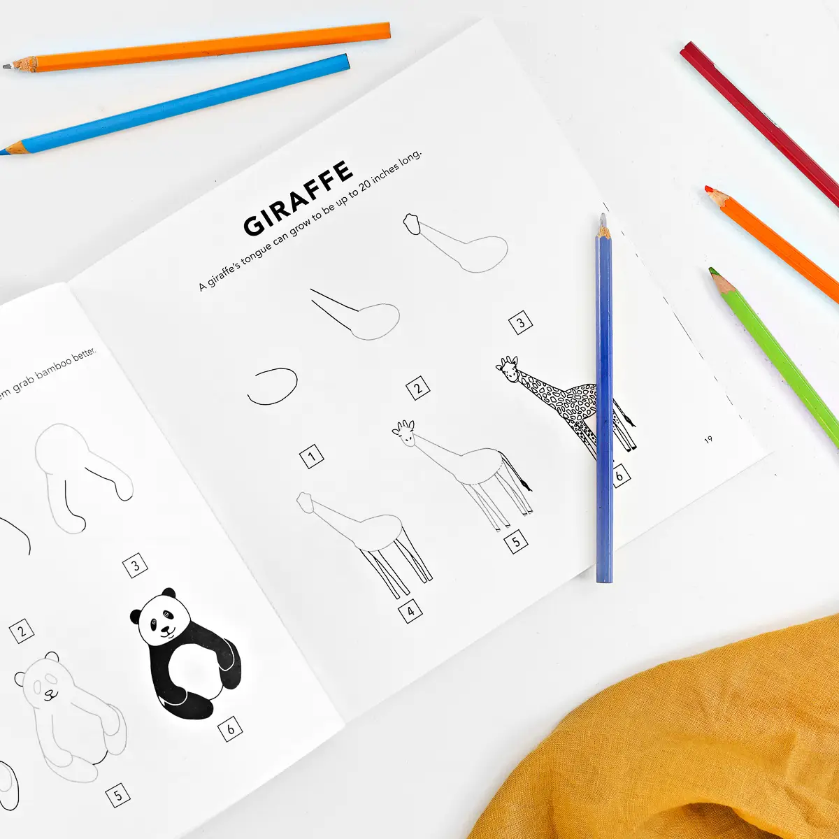 All the Animals: A How To Draw Art Book For Kids
