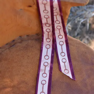 Show Day Dee Ring Snaffle Bit Silk Western Cowgirl Twilly Scarf