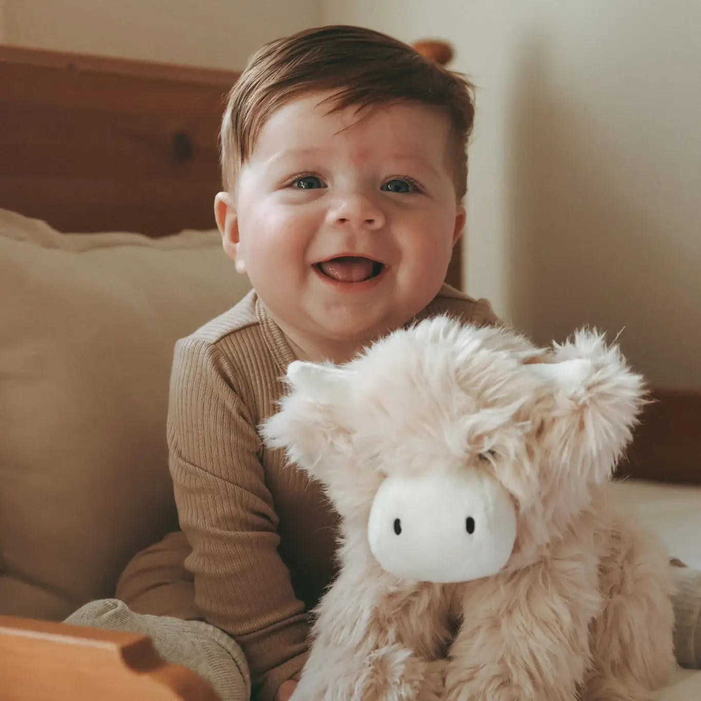 Plush - Hilda the Highland Cow - Snuggle Bunnies