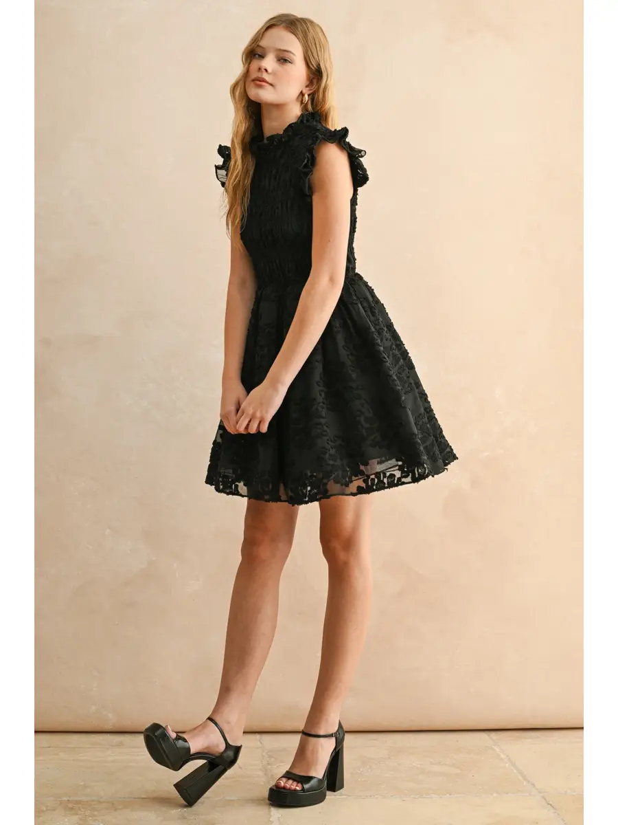 Velvet with Lace Combo Dress