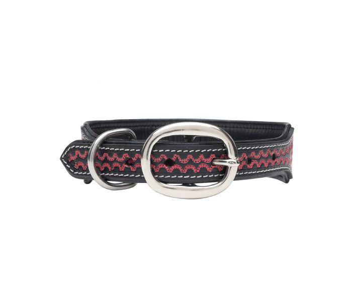 Lucky Diego Hand-tooled Dog Collar