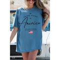 America Oversized Mineral Graphic Tee - Mineral Dusty Blue
