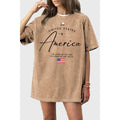 America Oversized Mineral Graphic Tee - Mineral Taupe