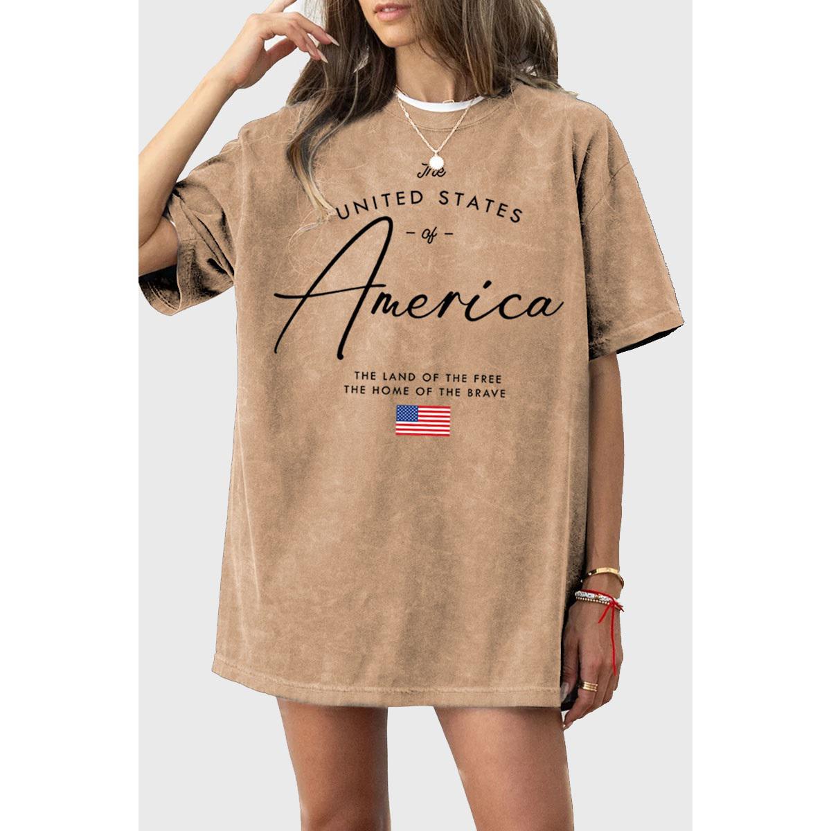 America Oversized Mineral Graphic Tee - Mineral Taupe