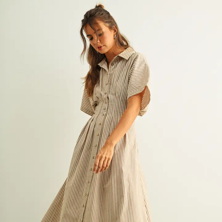 Striped Buttondown Shirt Dress - BROWN STRIPE