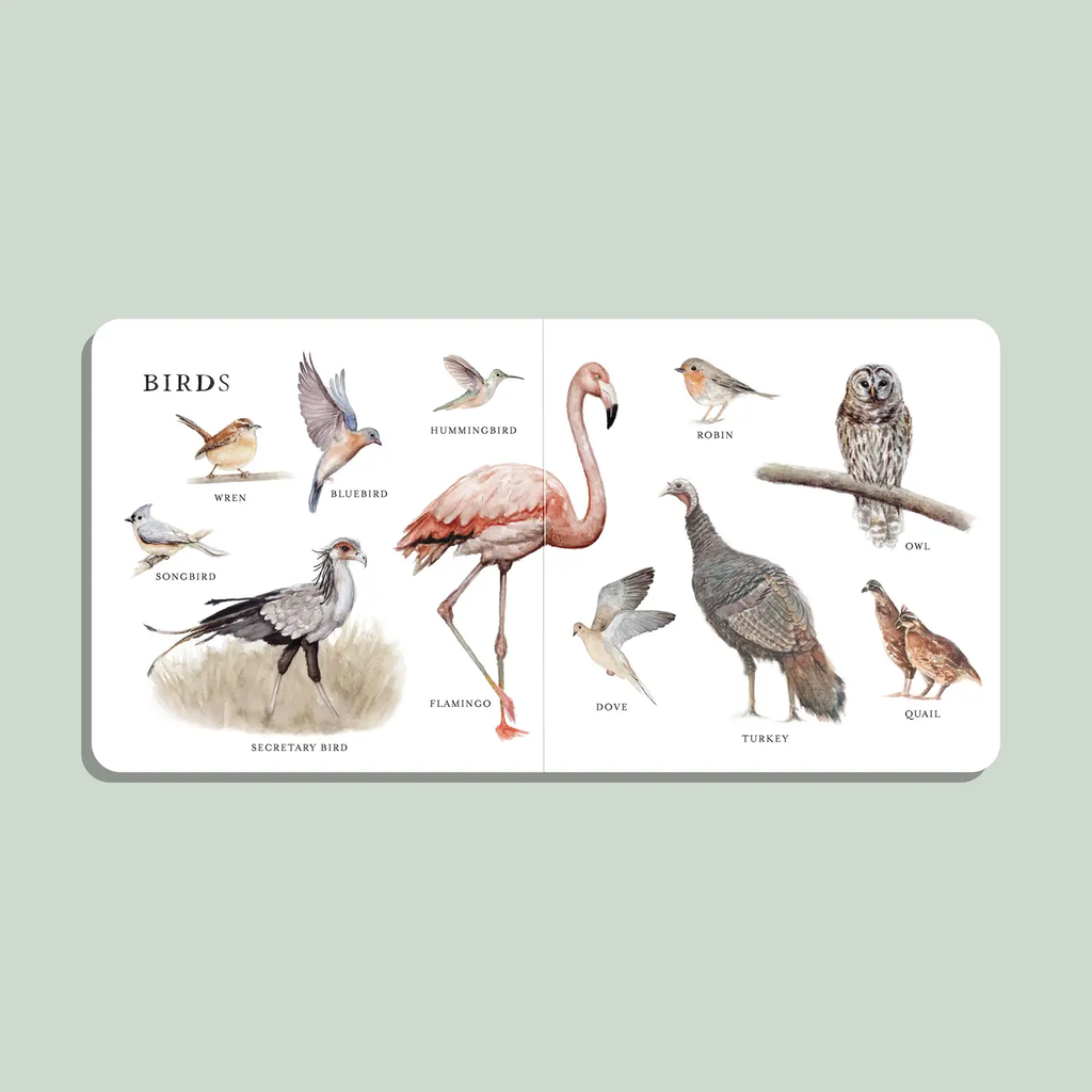 Our Big Book of Animals (Board Book)