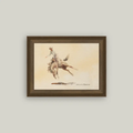 Bucking Rider Framed Antique Art 16x12