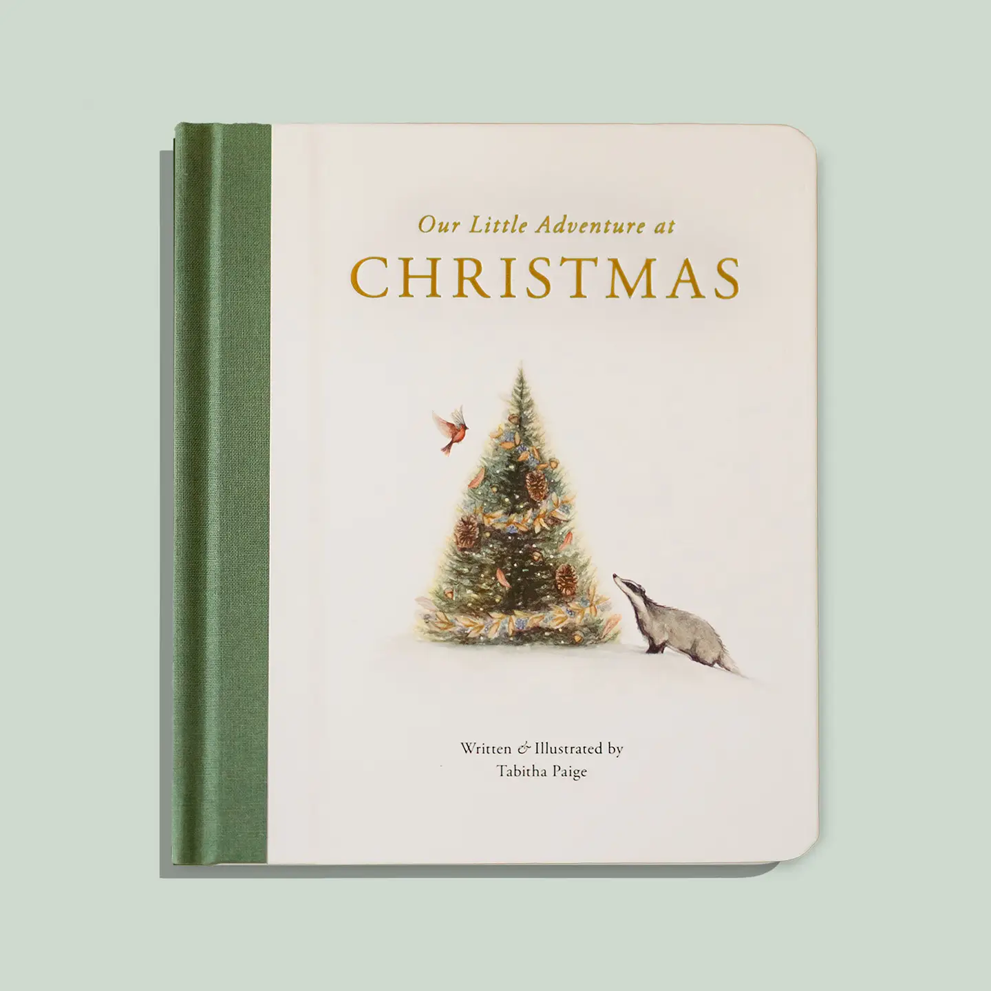 Our Little Adventure At Christmas (Baby's First Christmas)