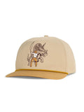 Triceratops Hat